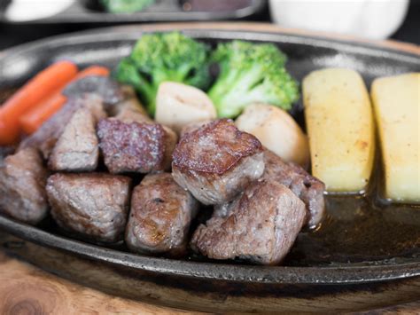 SHOGUN JAPANESE STEAK HOUSE .